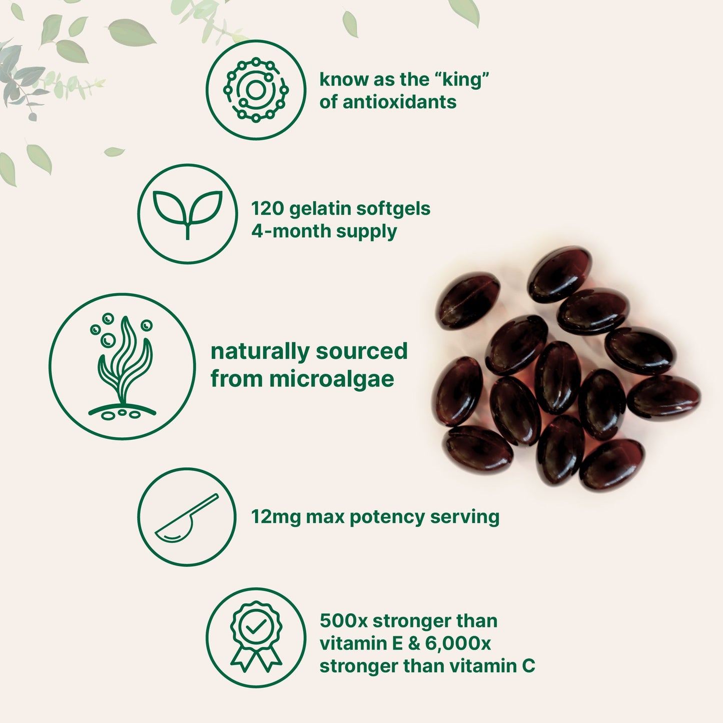 Micro Ingredients Astaxanthin 12mg with MCT Oil